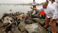 Investigators probing the deaths of  dolphins along Peru's northern coast have come up empty handed.